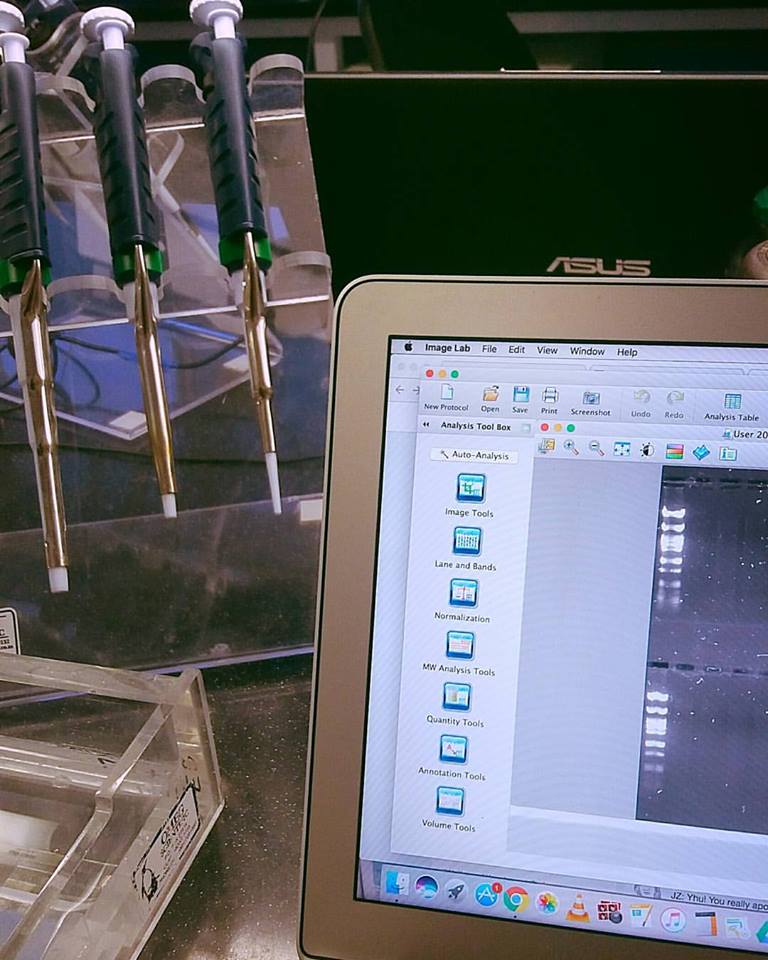 19113659_10207226424378542_90798108097765542_n