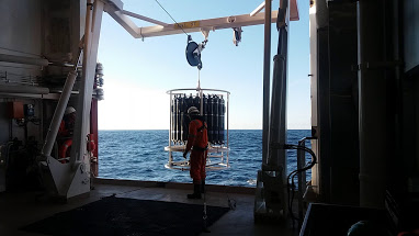 CTD Hydrocasts